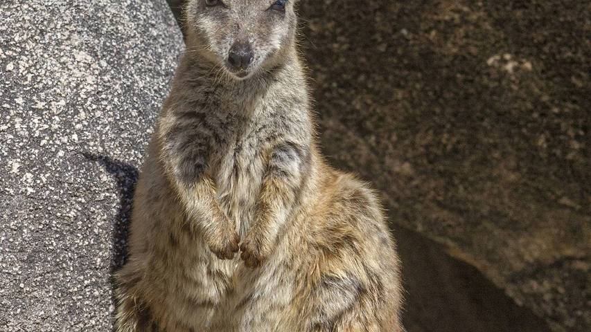 Holiday rental for 2 people in Magnetic Island