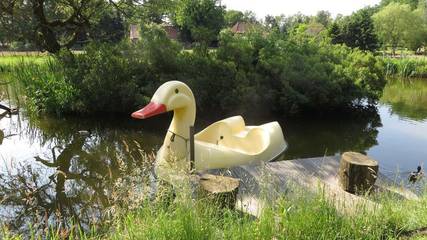 Hütte für 4 Personen in Bispingen, Lüneburger Heide, Bild 4