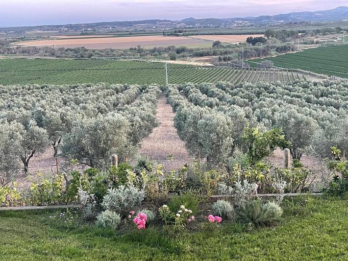 Location de vacances pour 2 personnes, avec Balcon et Terrasse ainsi que Jardin et Vue à Strongoli
