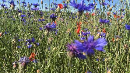 Ferienwohnung für 4 Personen in Lalendorf, Mecklenburgische Seenplatte, Bild 4