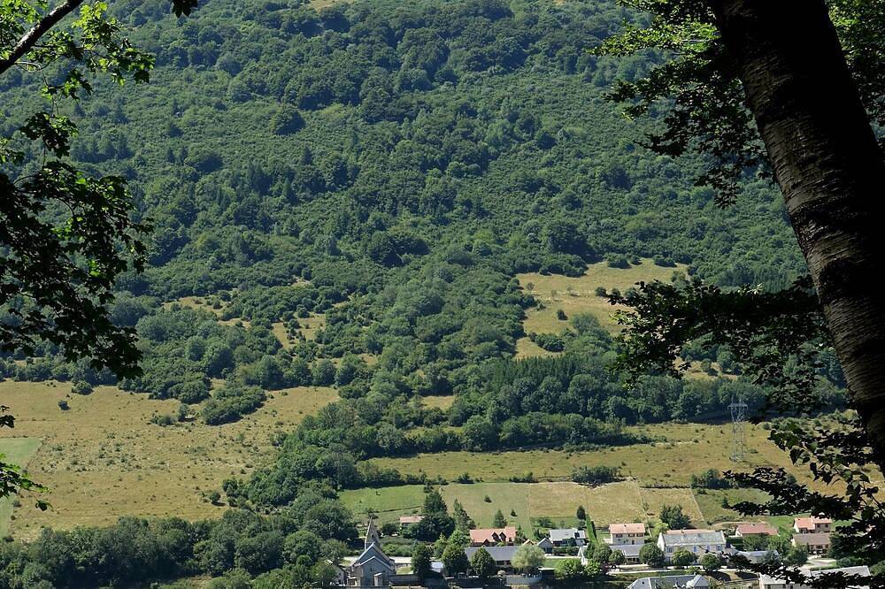 Entre lacs et moyenne montagne in Saint-Jean-de-Vaulx, Vercors