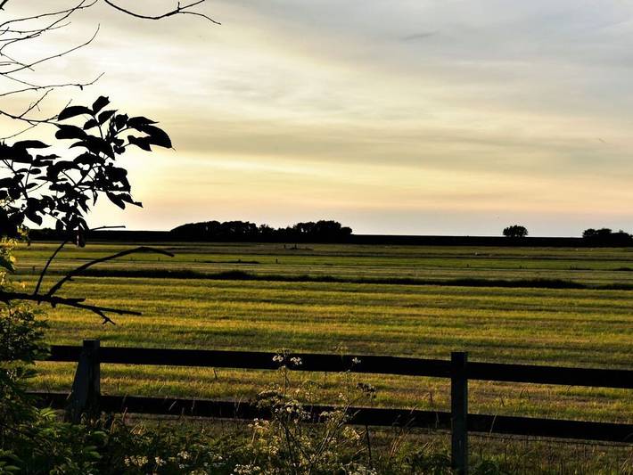 Ferienhaus für 7 Personen, mit Sauna und Garten, mit Haustier in Uelvesbüll - 4