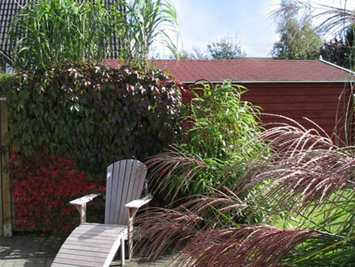 Ferienhaus für 3 Personen, mit Garten in Horumersiel - 3