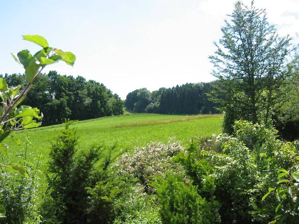 Ferienwohnung mit 1 Schlafzimmer in Heiligenberg, Region Bodensee-Oberschwaben
