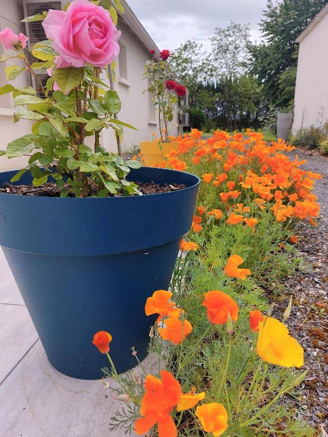 Double Room with Garden View in Neuville-de-Poitou, Vienne (France)