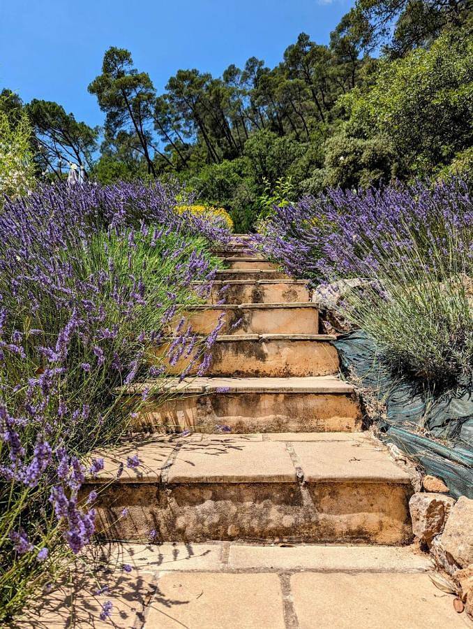 Location de vacances pour 8 personnes, avec jacuzzi ainsi que jardin et piscine à Vins-sur-Caramy - 4