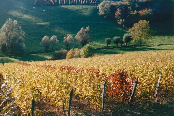 Gîte pour 3 personnes, animaux acceptés à Grusse