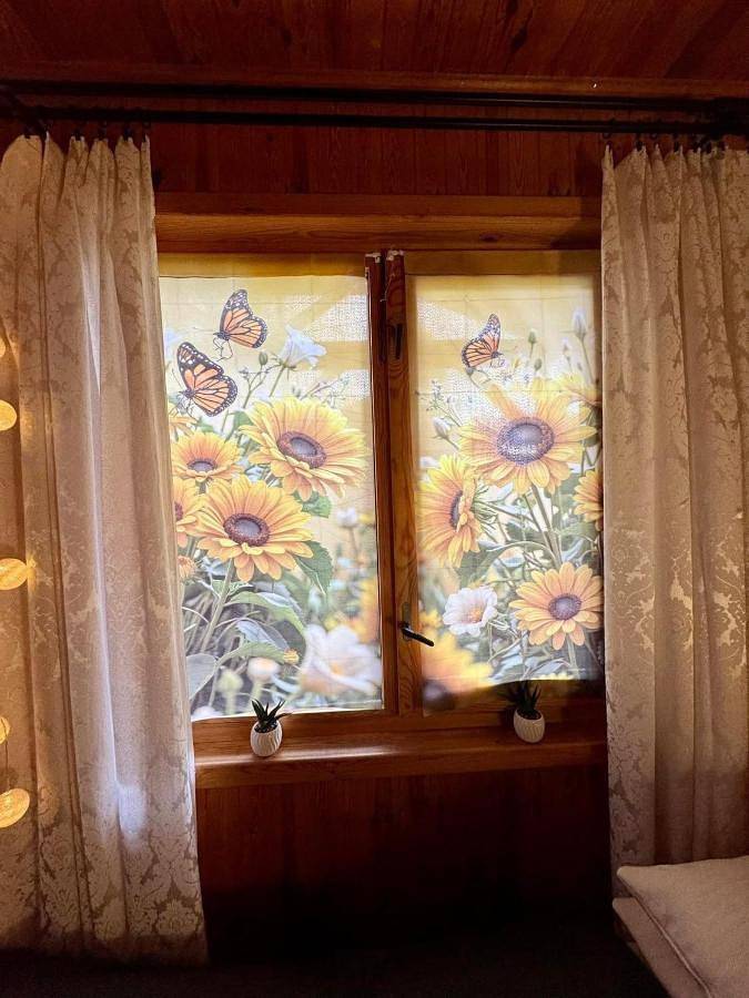 Domek nr 7 in Bory Tucholskie