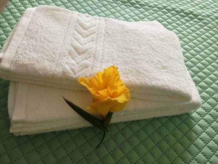 Maison d’hôte pour 2 personnes à Vila Praia de Ancora - 2