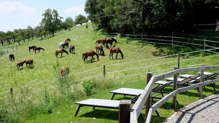 Vacation Apartment for 7 Guests in Wangen, Württembergisches Allgäu, Picture 1