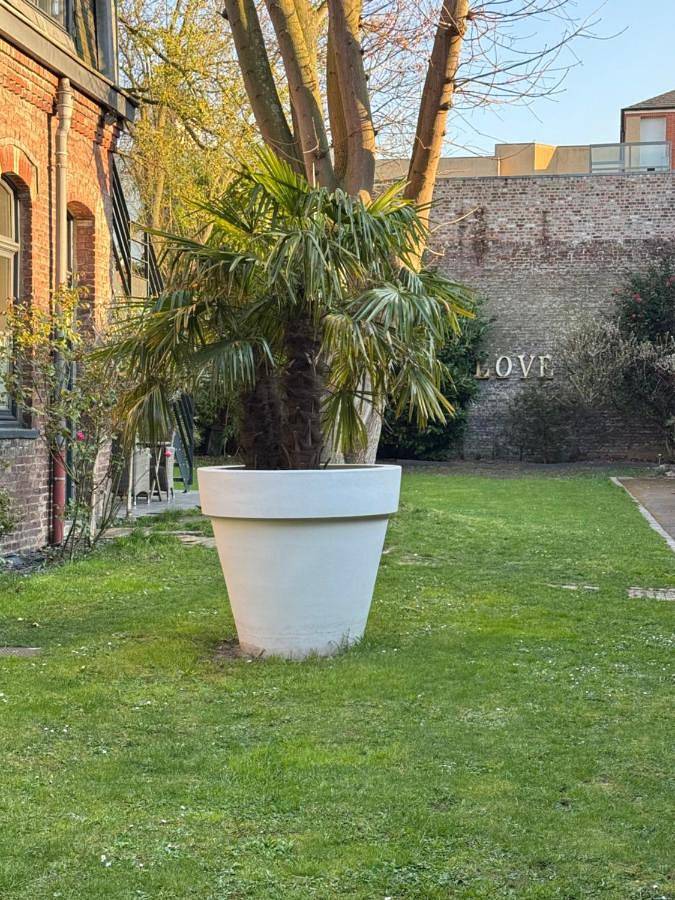 Location de vacances pour 2 personnes, avec terrasse ainsi que vue et jardin à Lille - 4