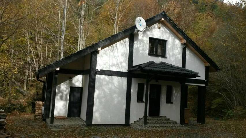 Domek letniskowy dla 5 osób, z Jacuzzi i Taras oraz Ogród i Widok w Karpaty (Rumunia)