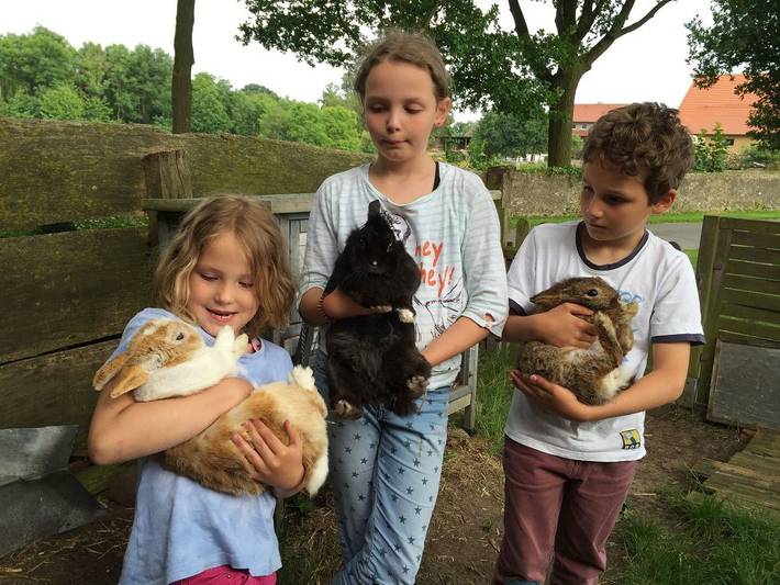 Bauernhof für 3 Personen, mit Garten, kinderfreundlich in Nordrhein-Westfalen - 4