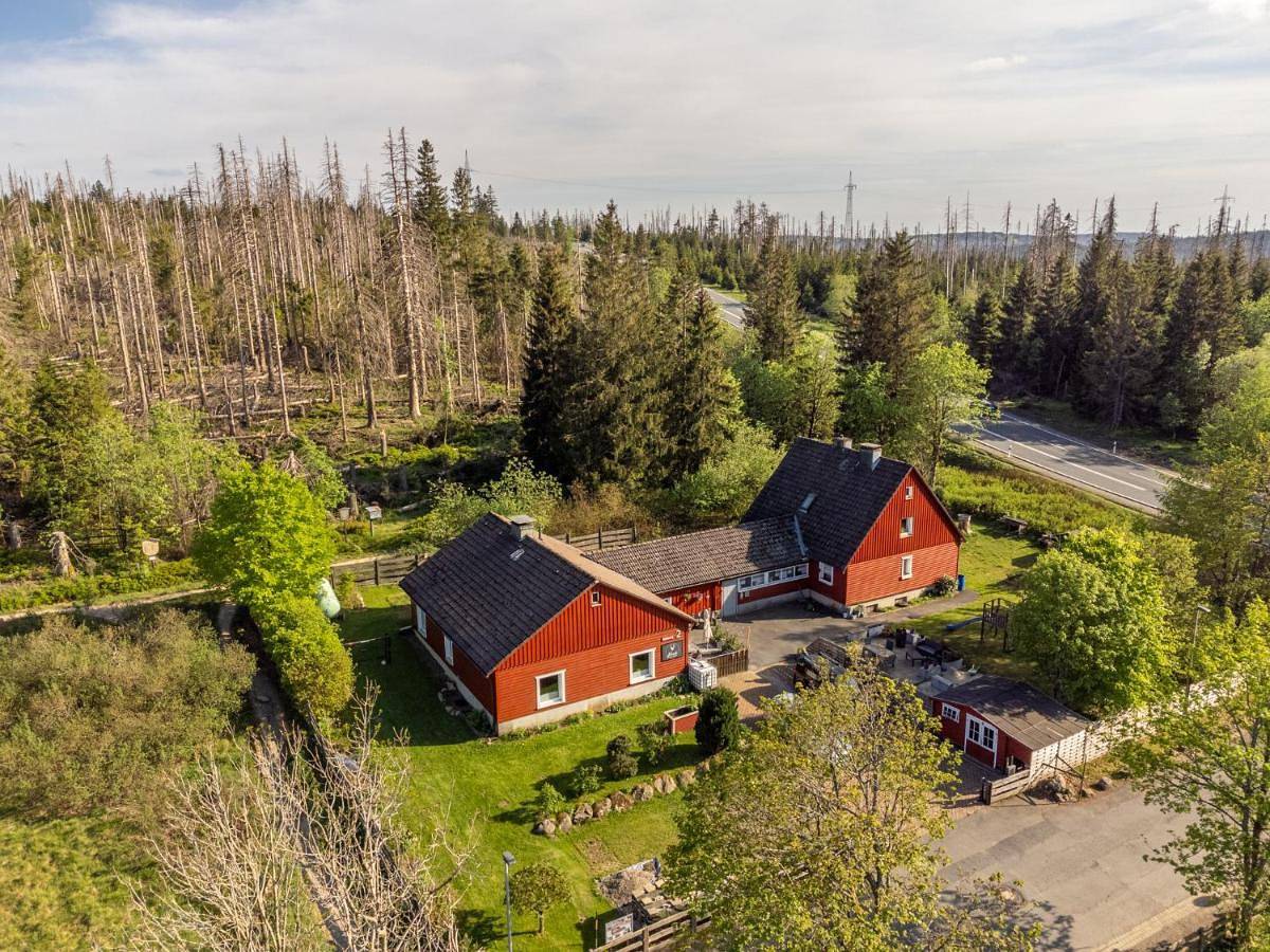 Hirsch Hänsel Ferienhaus Garten mit Bergblick - Grill -Wald in Torfhaus, Harzvorland