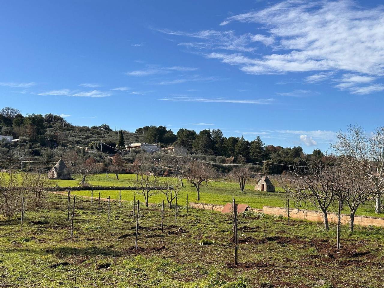 Apartamento entero, Apartamento 'Unidad 1' con jardín compartido, Wi-Fi y aire acondicionado in Putignano, Region de Bari