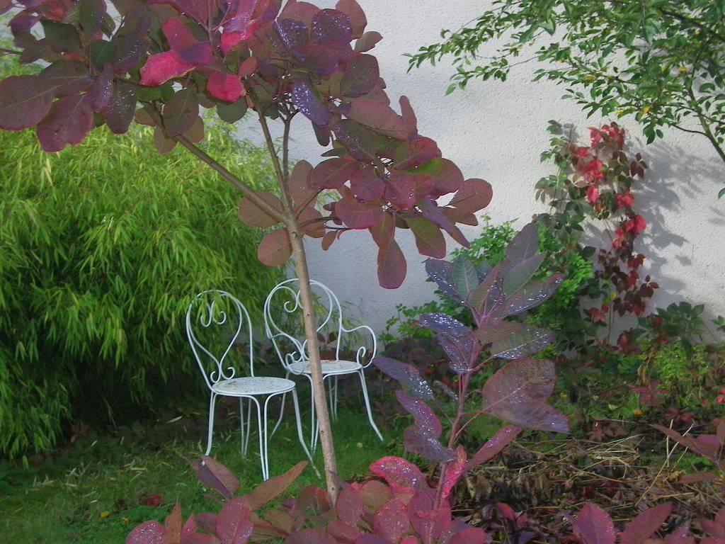 Chambres d'hôtes "Les Plantes" - Chambre 1 in Onzain, Région de Blois