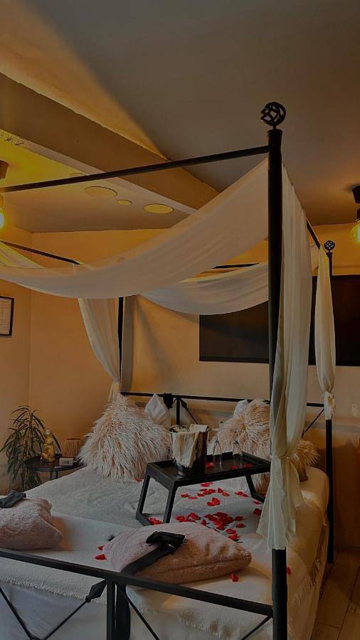 Gîte pour 2 personnes, avec sauna et jacuzzi ainsi que jardin et terrasse à Bieuzy - 3