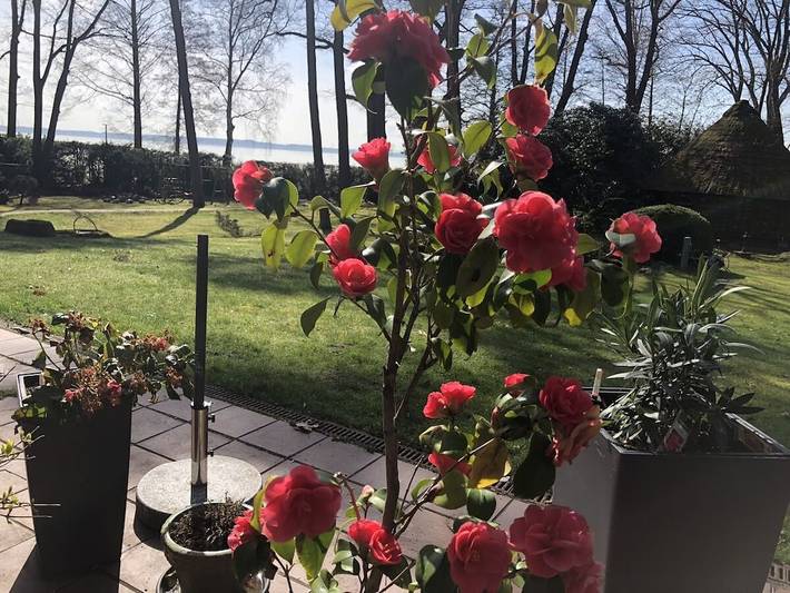 Ferienwohnung für 2 Personen, mit Garten und Balkon in Neustadt am Rübenberge - 3