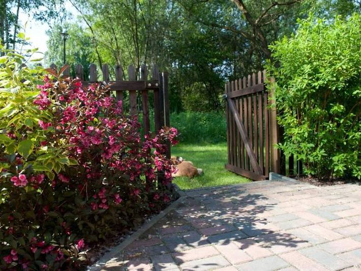 Ferienwohnung für 4 Personen, mit Terrasse und Garten im Spreewald - 2