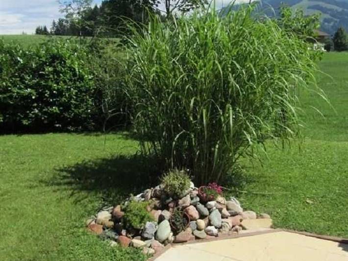 Ferienwohnung für 5 Personen, mit Terrasse und Garten in Sankt Johann in Tirol - 4