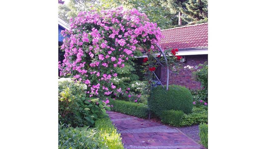 Ferienhaus für 4 Personen, mit Garten und Sauna sowie Balkon in Oldenburg - 4