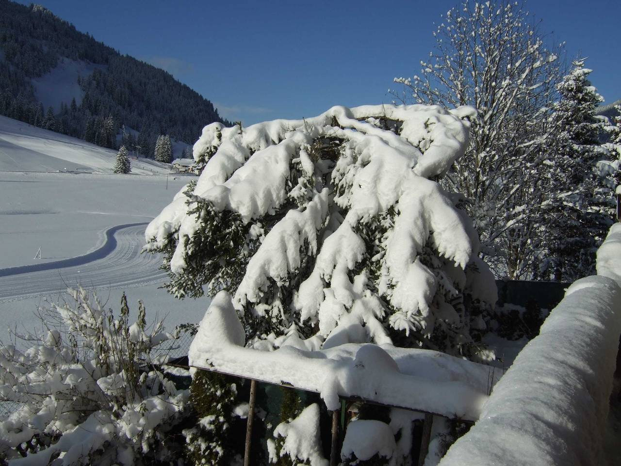 Haus Rosemarie - Doppelzimmer 6 Süd in Nesselwängle, Allgäuer Alpen (Österreich)