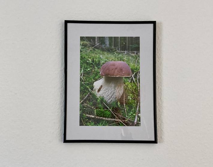 Ferienwohnung für 4 Personen, mit Garten und Terrasse sowie Sauna in Daun - 2