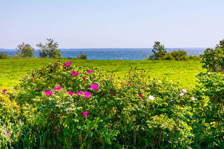 Ferienwohnung für 5 Personen, mit Garten in Redewisch - 3