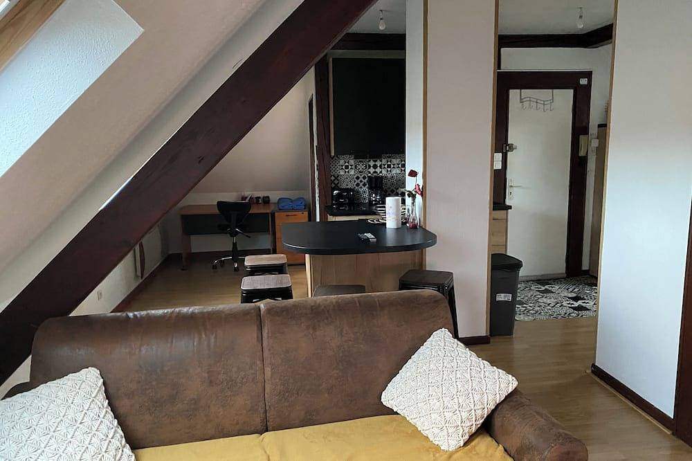 Entire apartment, Appart T2 car museum, garage, fitted kitchen, bright, quiet. in Mulhouse, Mulhouse region