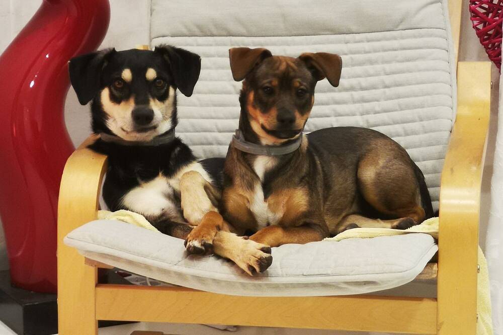 Cilento sea and history - Quadruple in San Marco, Cilento