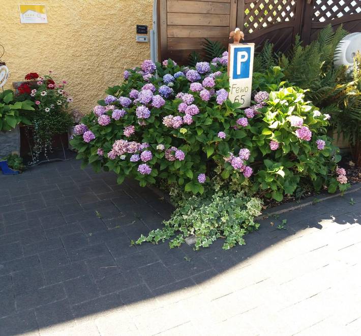 Ferienwohnung für 2 Personen, mit Terrasse und Garten in Neumagen-Dhron - 3