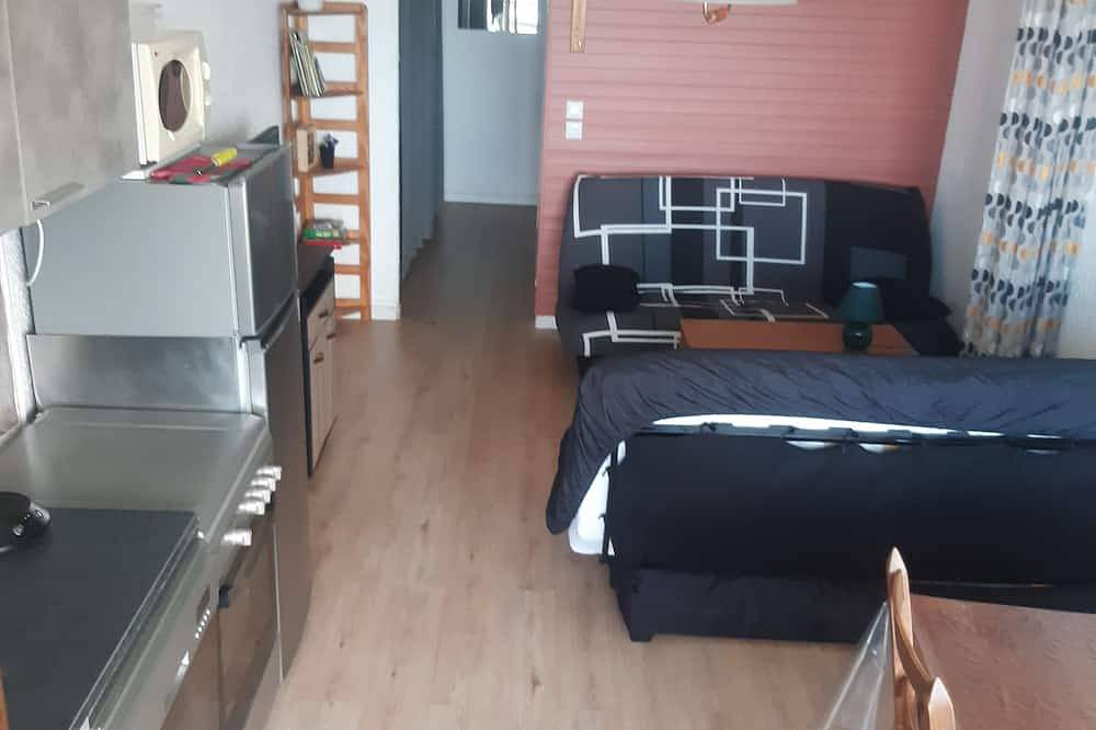 Entire apartment, A Louer Studio aux Pieds des Pistes aux Monts D'olmes, 4/5 Personnes in Les Monts d'Olmes, Montferrier