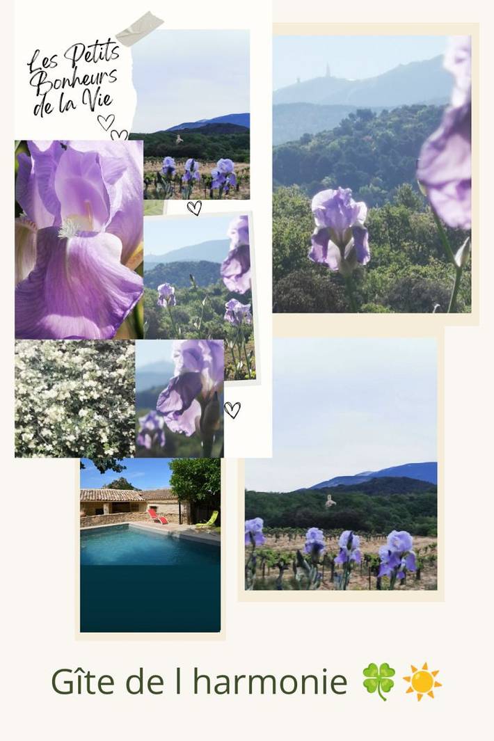 Gîte pour 4 personnes, avec balcon ainsi que jardin et piscine dans Parc naturel régional du Mont-Ventoux - 2
