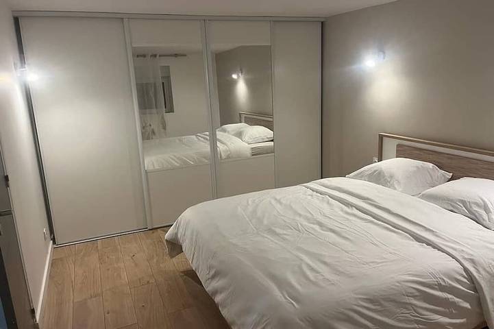 Location de vacances pour 5 personnes, animaux acceptés à Chasse-sur-Rhône - 2