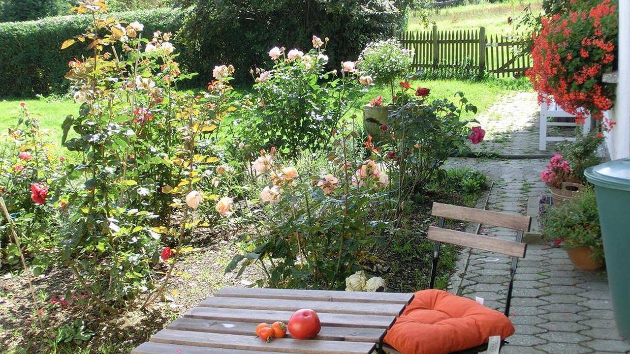Ganze Ferienwohnung, Ferienwohnung für 8 Personen (80 m²) in Blankenrath in Blankenrath, Cochem-Zell