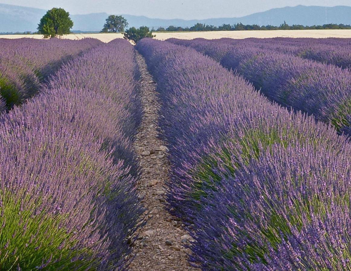Coutelon, havre de paix en pleine nature ( 2 chambres) in Saint-Jurs, Alpes-de-Haute-Provence