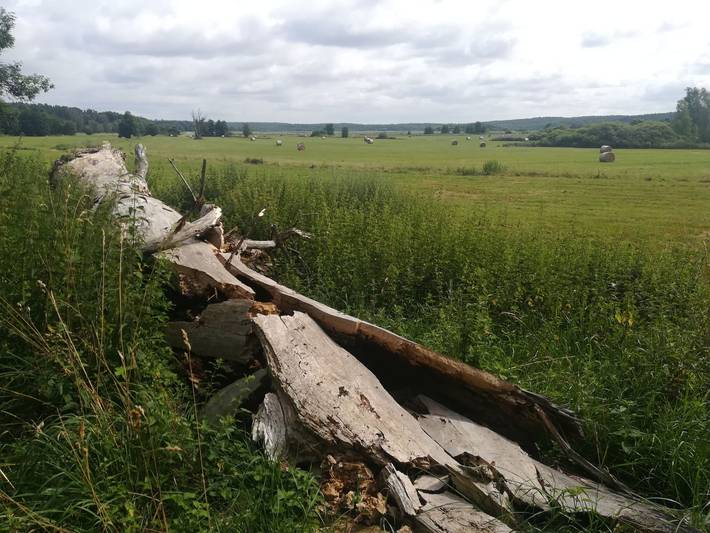 Ferienwohnung für 2 Personen, mit Garten, kinderfreundlich in Lenzen (Elbe) - 4