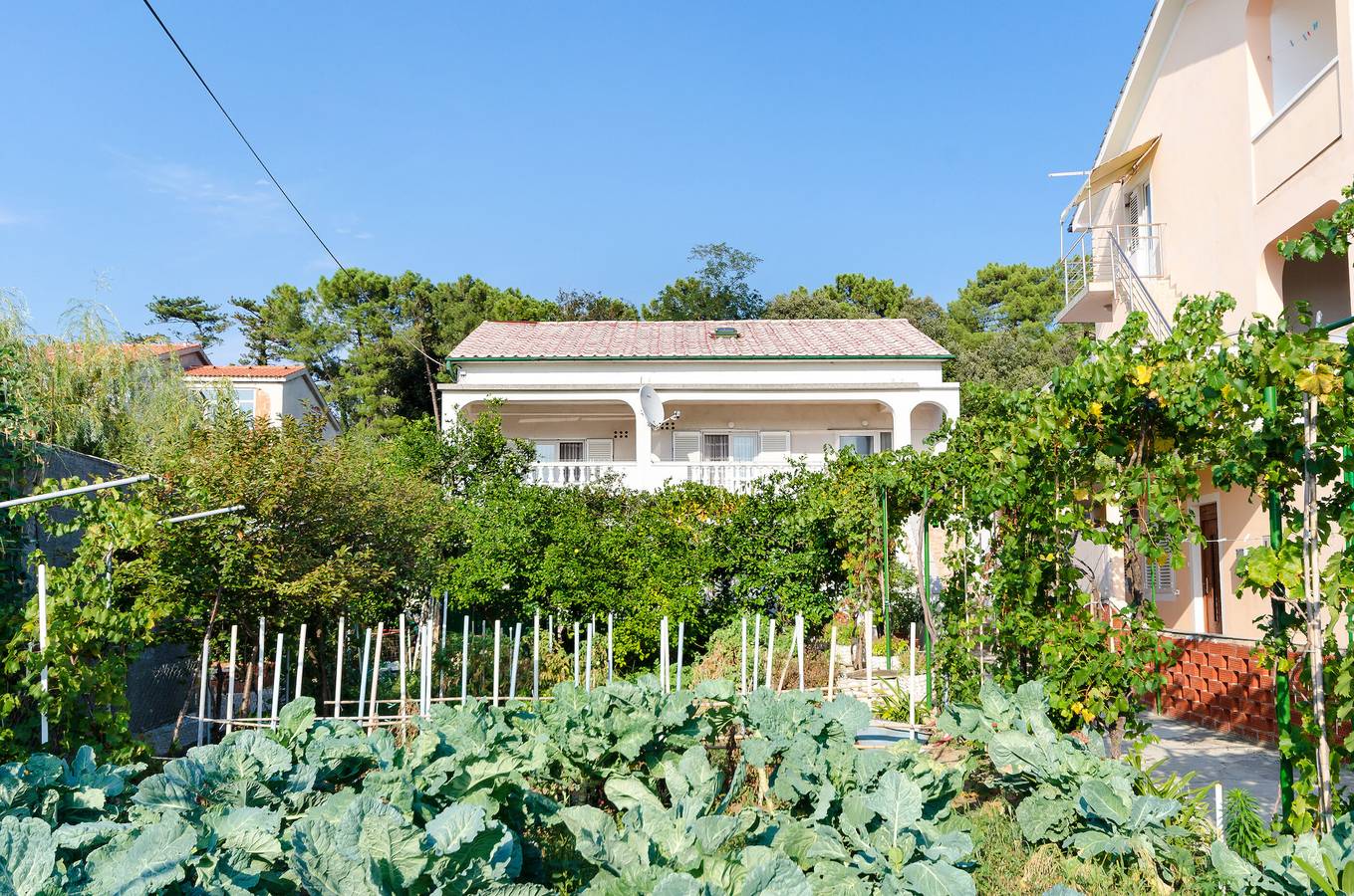 Ganze Wohnung, Apartments Luce in Lopar, Rab
