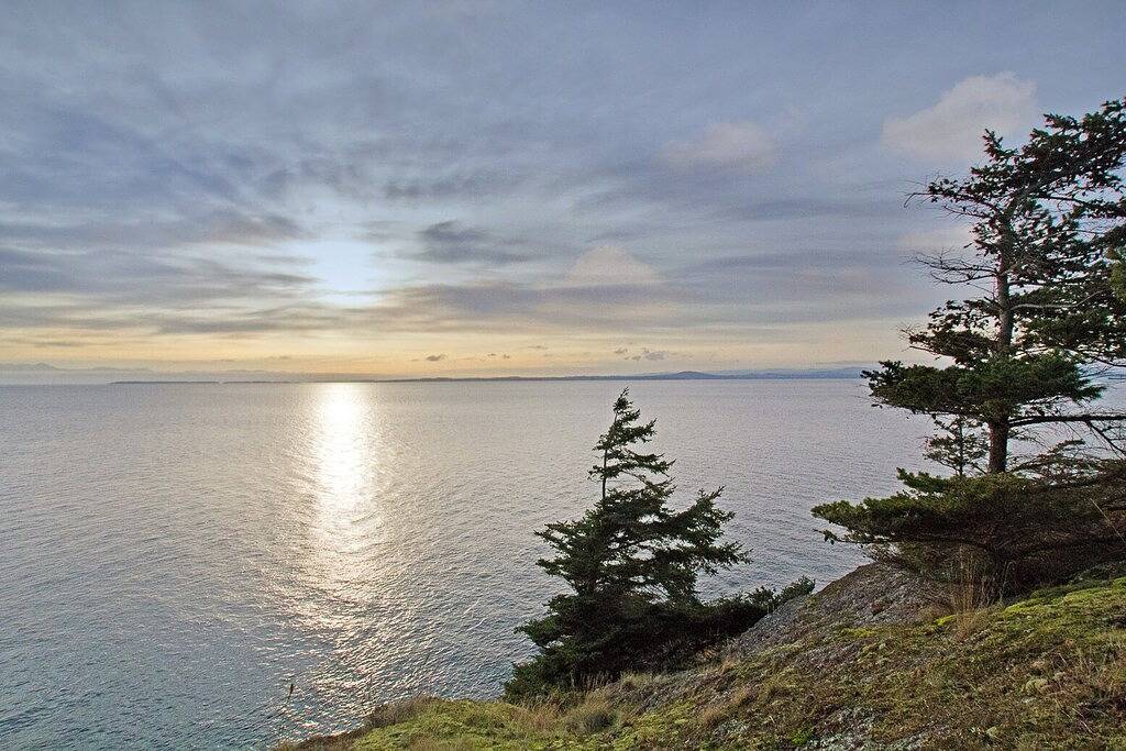 Waterfront! Sehen Sie den Orca-Wale! (Whale Watch Point) in San Juan Island