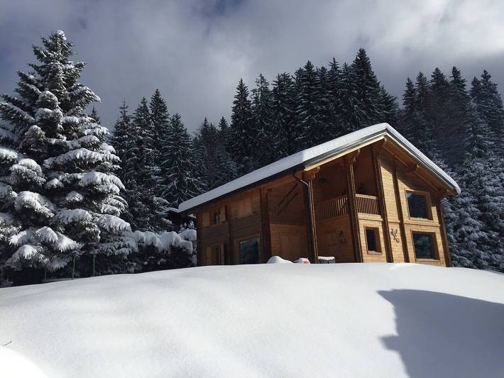 Chalet pour 10 personnes, avec jardin dans Les Carroz