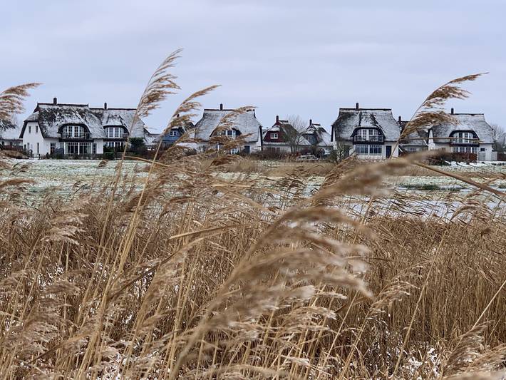 Ferienhaus mit Meerblick für 7 Personen, mit Seeblick und Sauna sowie Garten, kinderfreundlich auf Usedom - 2