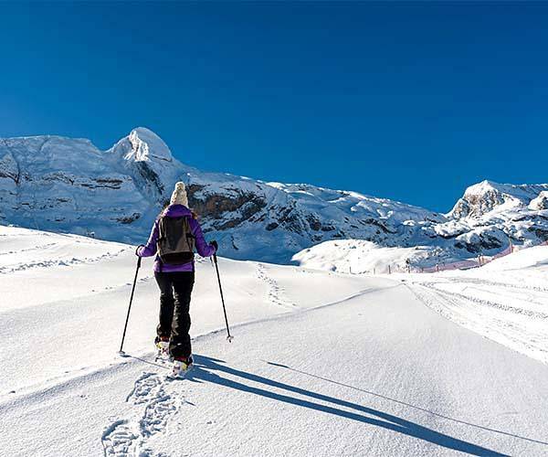 Camping Font Romeu - Chalet 3 piezas 3-5 personas (La Cabane) in Font-Romeu-Odeillo-Via, Parque Natural Regional de los Pirineos Catalanes