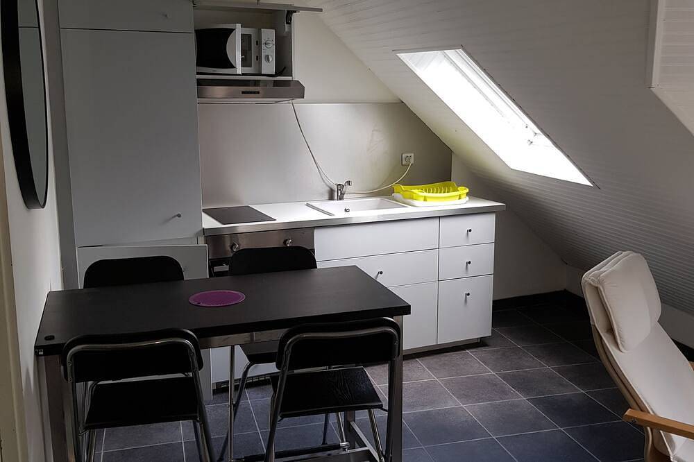 Entire apartment, St Lary-Vignec Nice little apartment ideally located in Vignec, Pyrenees National Park