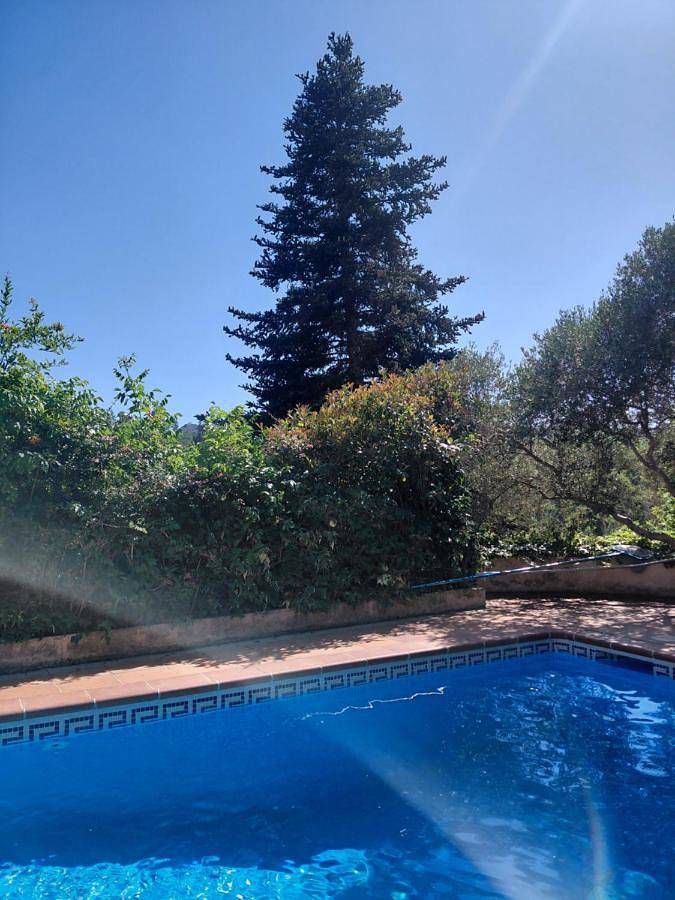 Gîte pour 8 personnes, avec piscine ainsi que jardin et vue dans San Celoni - 2
