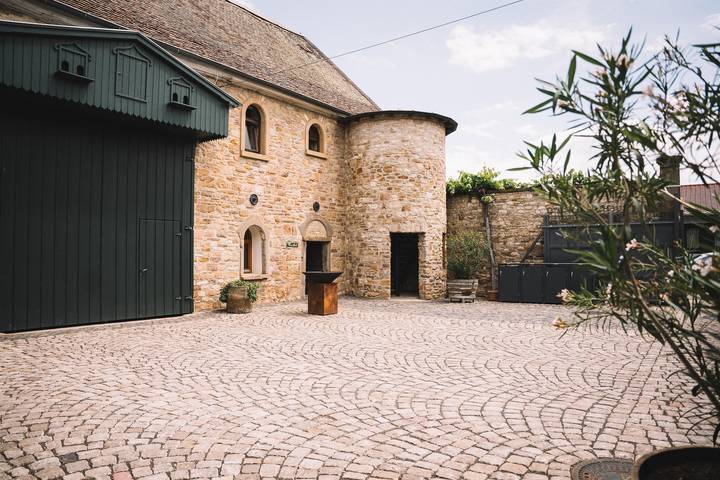Ferienhaus für 10 Personen, mit Terrasse und Garten in Rheinhessen - 3