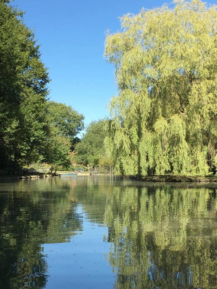 Location de vacances pour 6 personnes, avec piscine ainsi que vue et jardin, animaux acceptés à Baugé-en-Anjou - 2