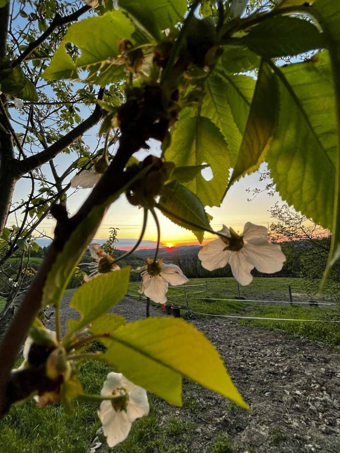 Location de vacances pour 6 personnes, avec Terrasse et Vue à Clermont-Dessous