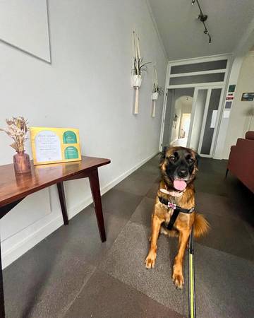 Chambre d’hôte pour 2 personnes, animaux acceptés à Ponta Delgada