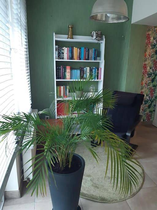 Maison de vacances pour 6 personnes, avec jardin