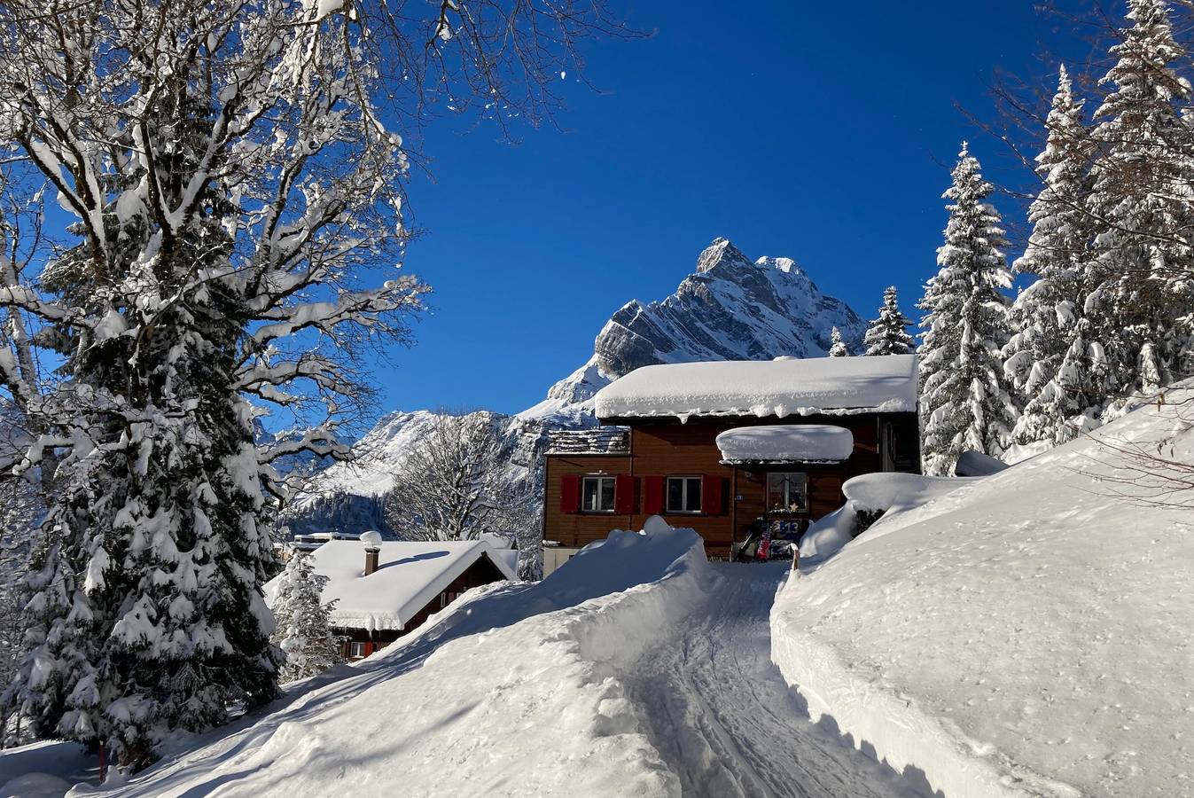 Ganze Ferienwohnung, Chalet adr Halde, Nr. 201 - 5.5 Zimmer -Wohnung in Glarus Süd, Kanton Glarus